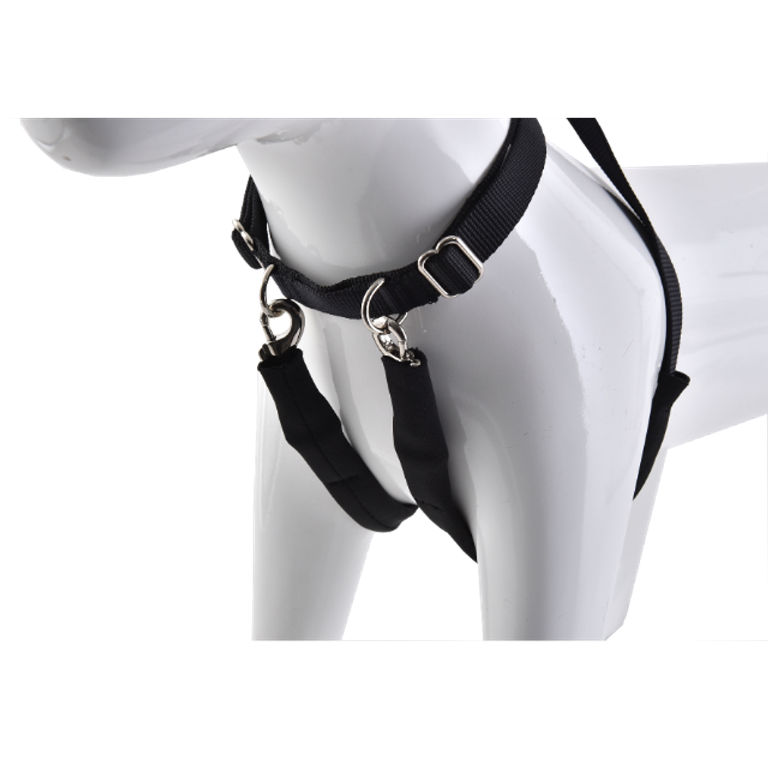 Arnés Anti-tirones 3