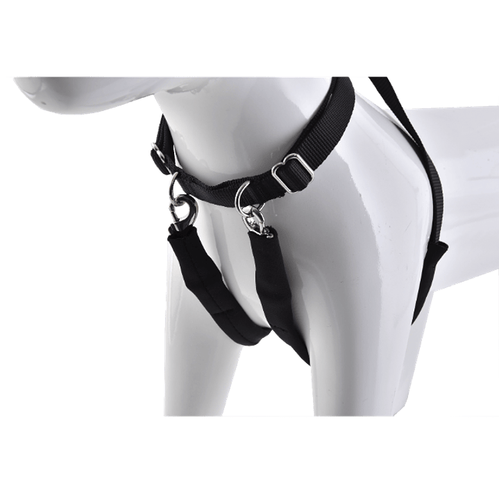 Arnés Anti-tirones 3