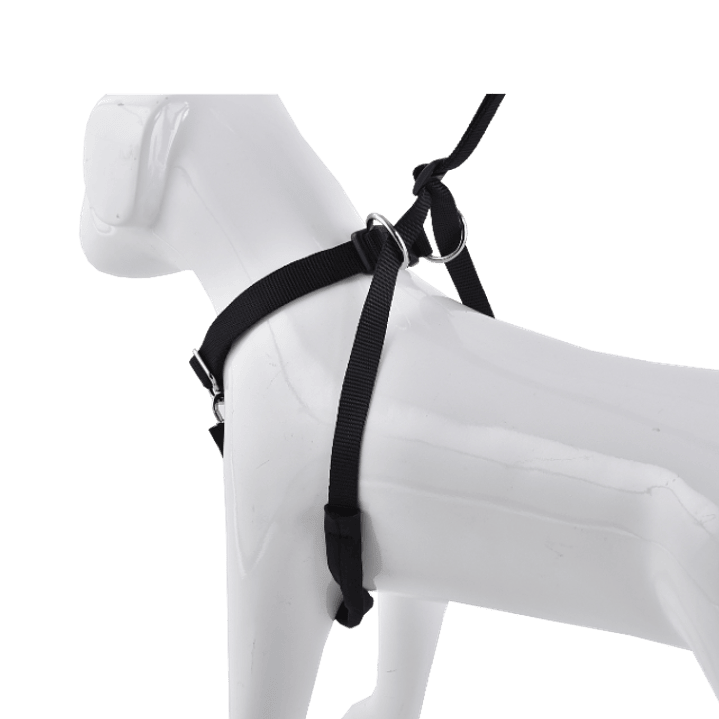 Arnés Anti-tirones 5