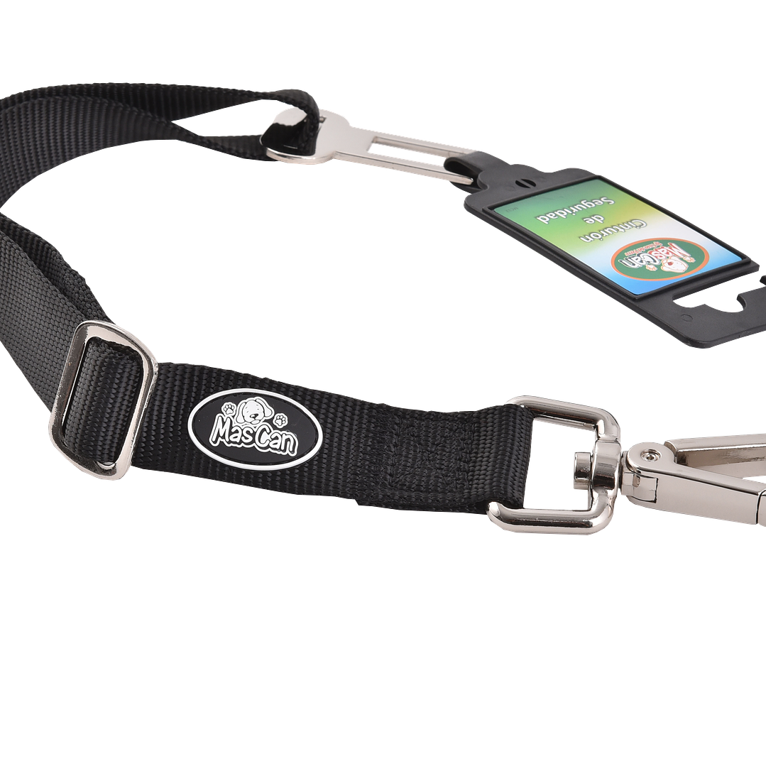 Cinturón de Seguridad 1