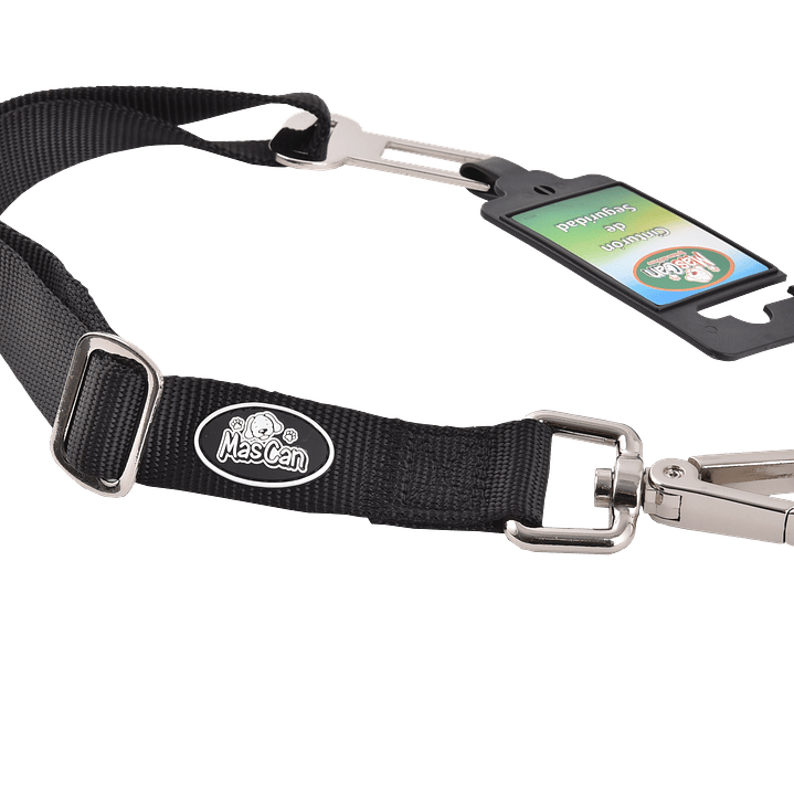 Cinturón de Seguridad 1