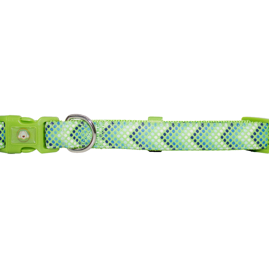 Collar Diseño Puntitos 1