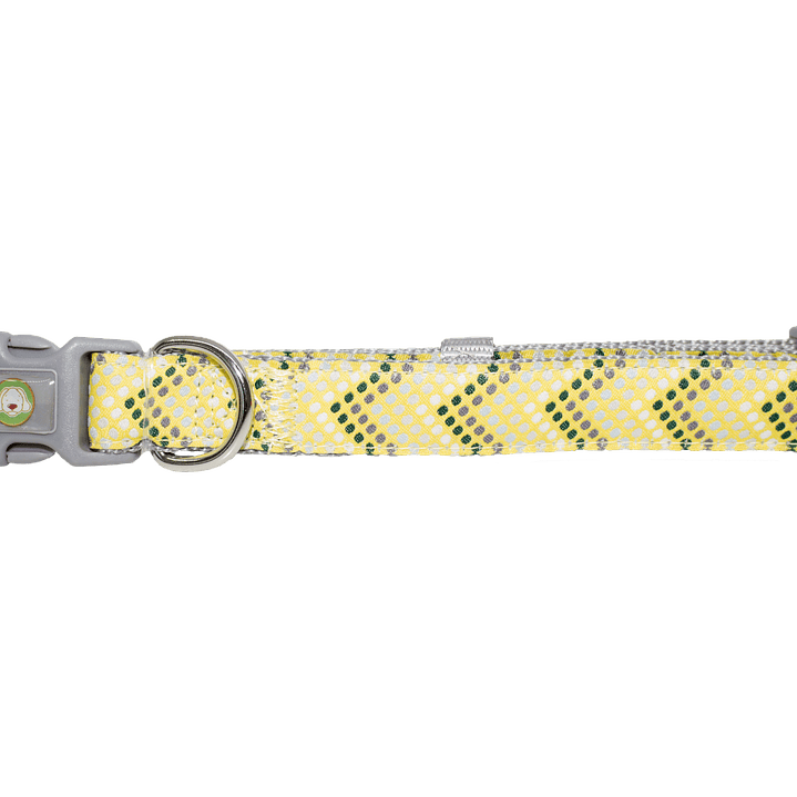 Collar Diseño Puntitos 4