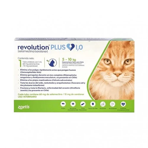 REVOLUTION PLUS GATO 5 A 10 KG