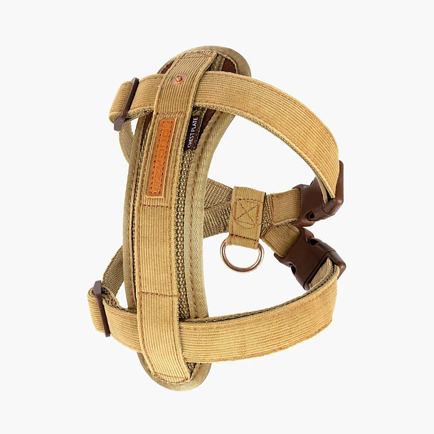 EZYDOG CHEST PLATE 11