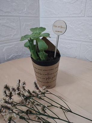 Suculenta Personalizada – Lembrança para Casamentos e Eventos