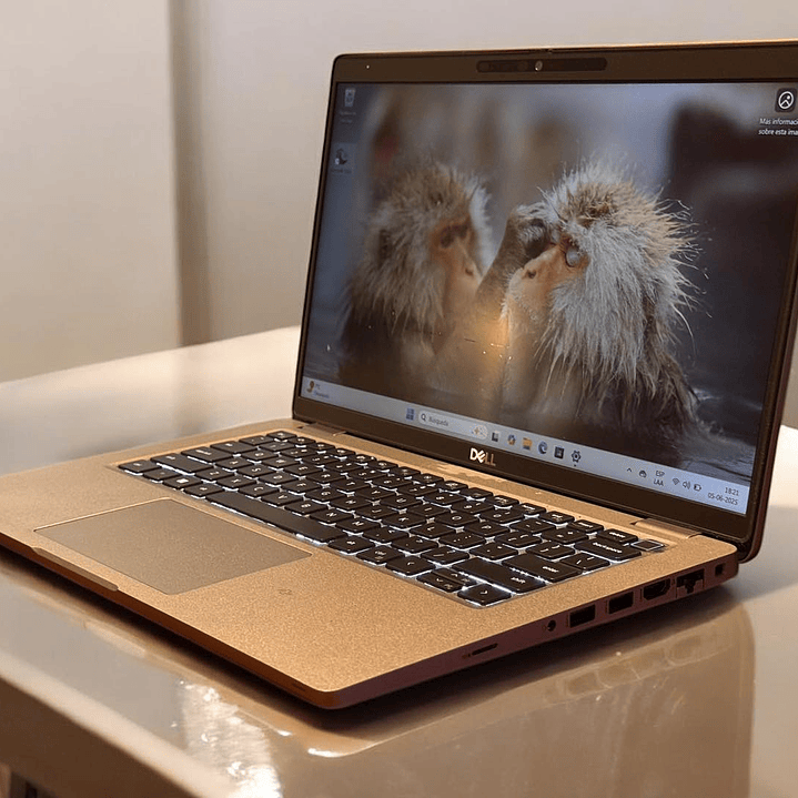 Dell latitude 5420 / i7-1185G7 / 16GB RAM / 512GB SSD / Pantalla 14 FHD IPS 3