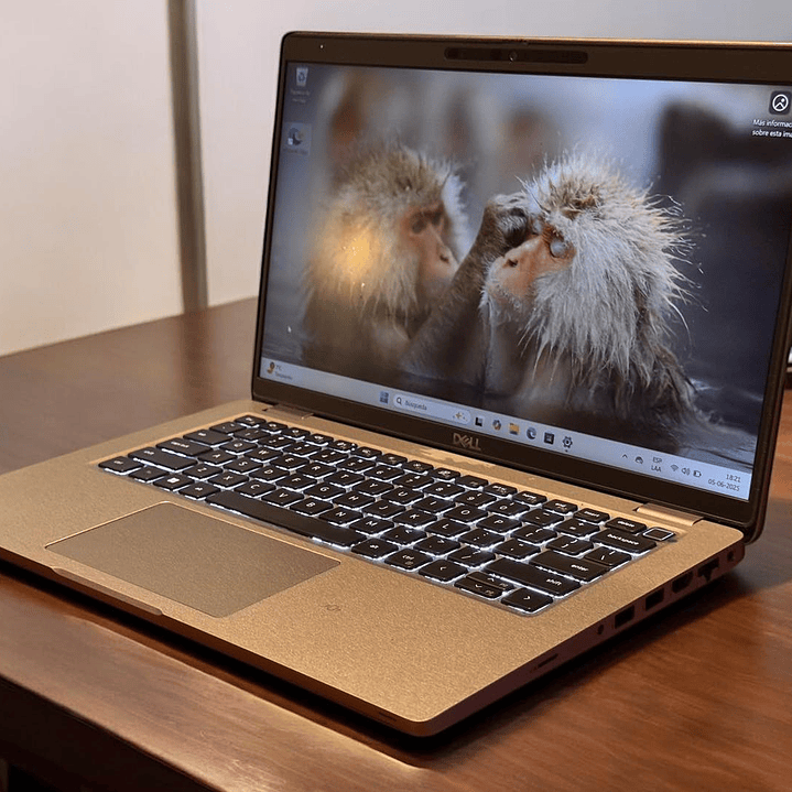 Dell latitude 5420 / i7-1185G7 / 16GB RAM / 512GB SSD / Pantalla 14 FHD IPS 4
