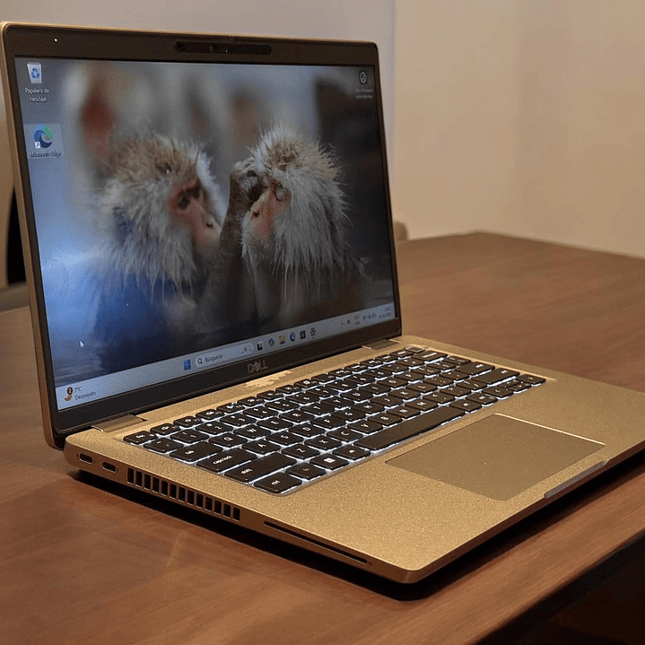 Dell latitude 5420 / i7-1185G7 / 16GB RAM / 512GB SSD / Pantalla 14 FHD IPS 5