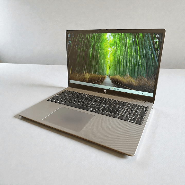 HP 255 G10 / Ryzen 7 7730U / 32GB RAM / 512GB SSD / Pantalla 15,6 HD 1