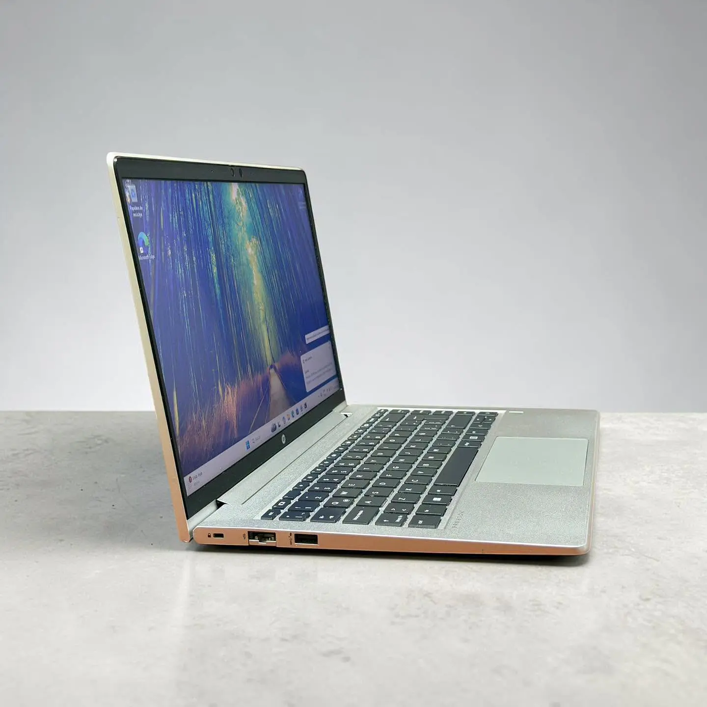 HP Probook 445 G9 / Ryzen 7 5825U / 16GB RAM / 512GB SSD / Pantalla 14 HD 4