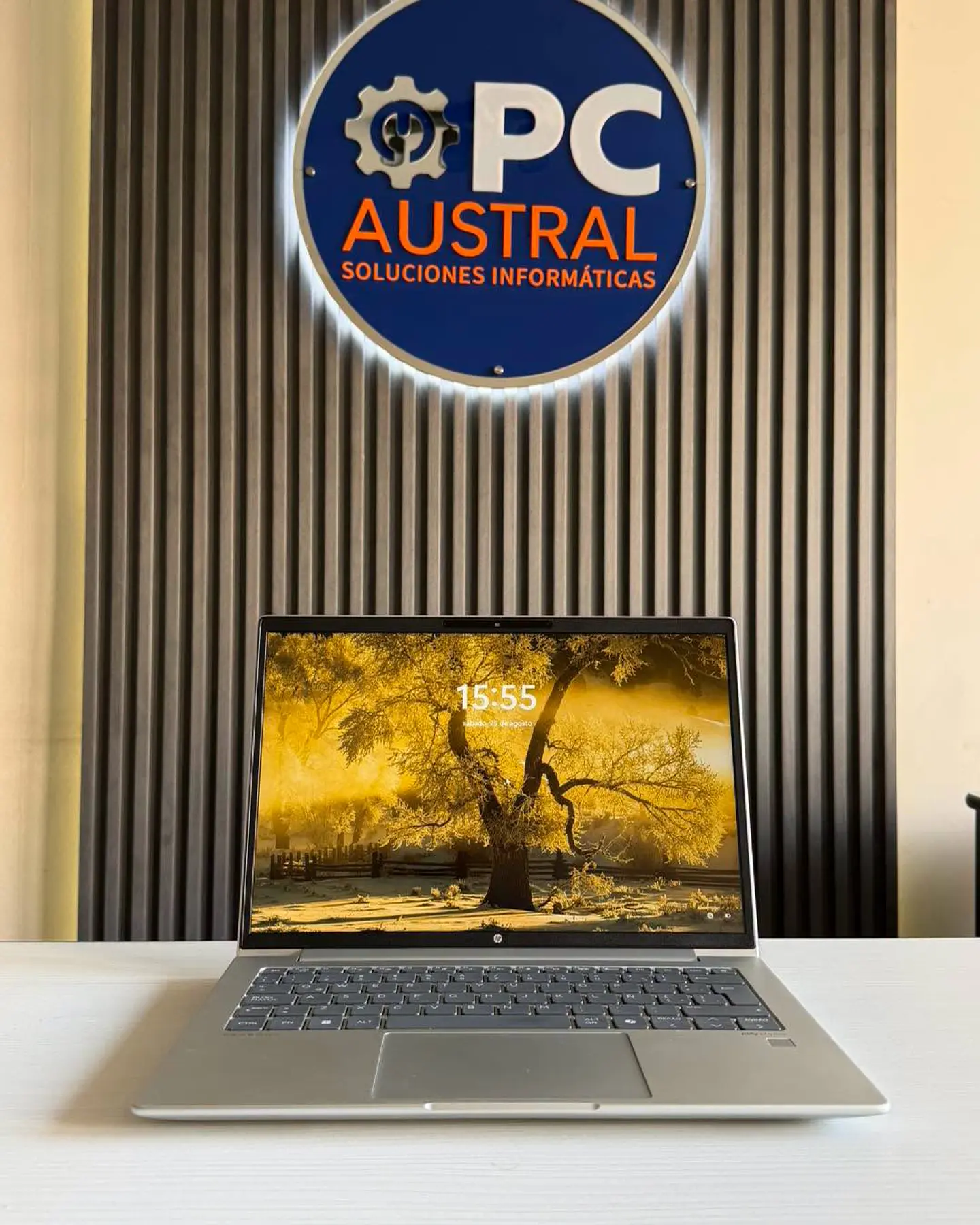HP Probook 445 G11 / Ryzen 5 7535U / 16GB RAM / 512GB SSD / Pantalla 14 FHD 7