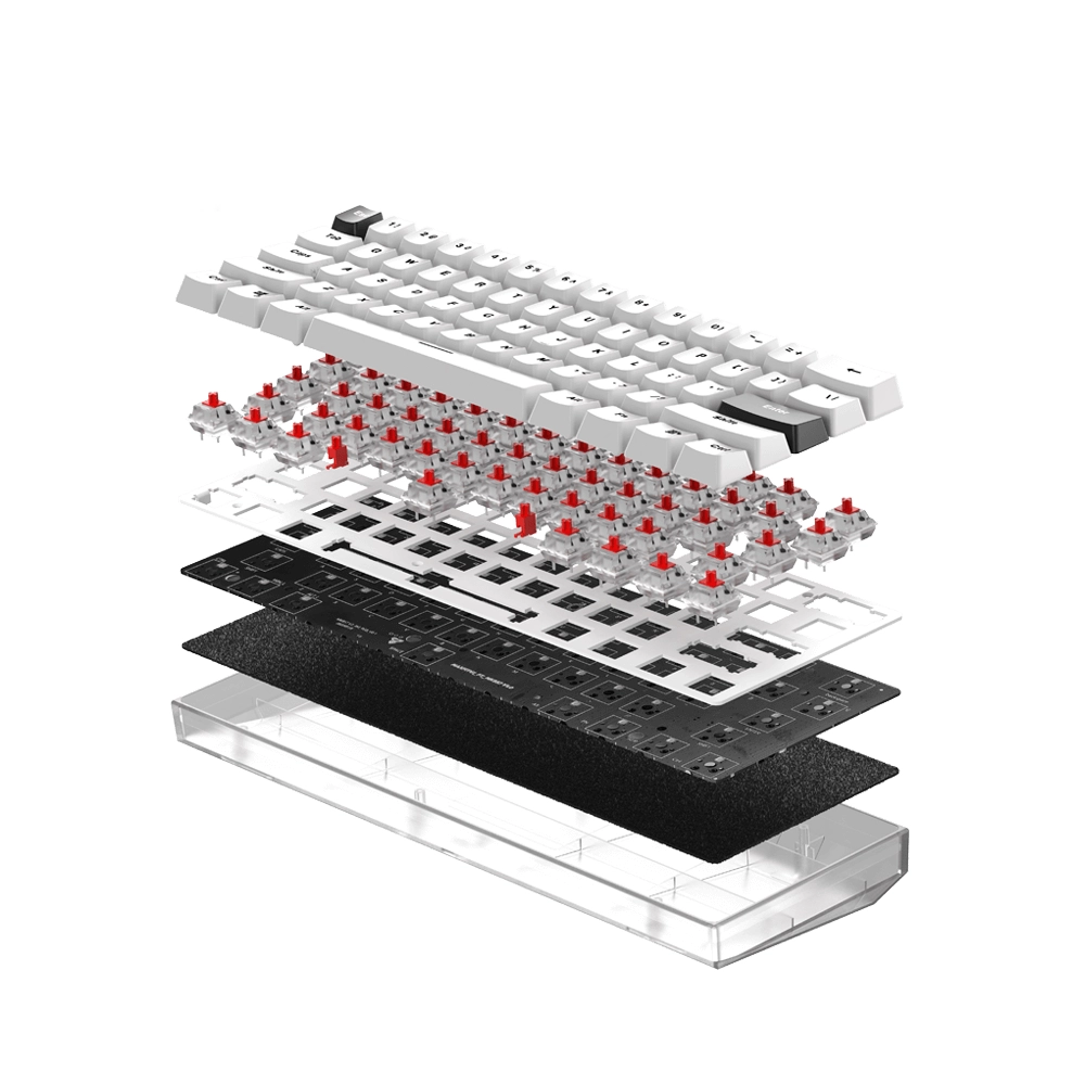 Teclado Gamer 60% inalambrico Fantech MAXFIT61 Frost RGB MK857, Color Blanco, Switch Azul (EN) 3