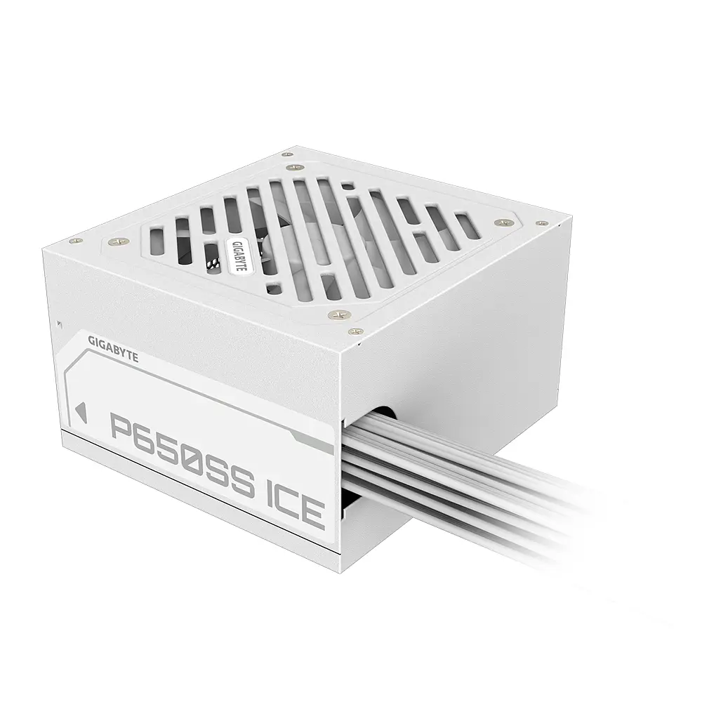 Fuente de Poder Gigabyte P650SS ICE ATX 3.1 (650W) 80 Plus Silver 1