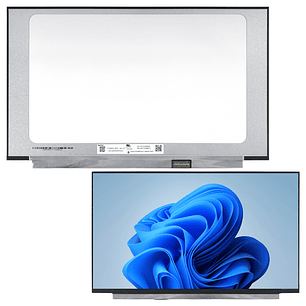 Pantalla Notebook HP 255 G8