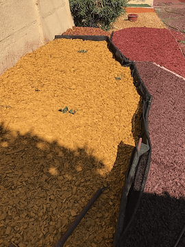 Mulch Amarillo 50 Litros