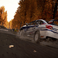 DiRT 4  - Miniatura 2