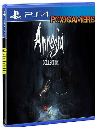 Amnesia: Collection
