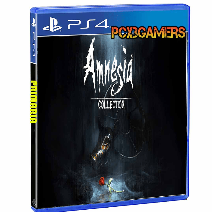 Amnesia: Collection 1