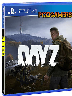 DayZ