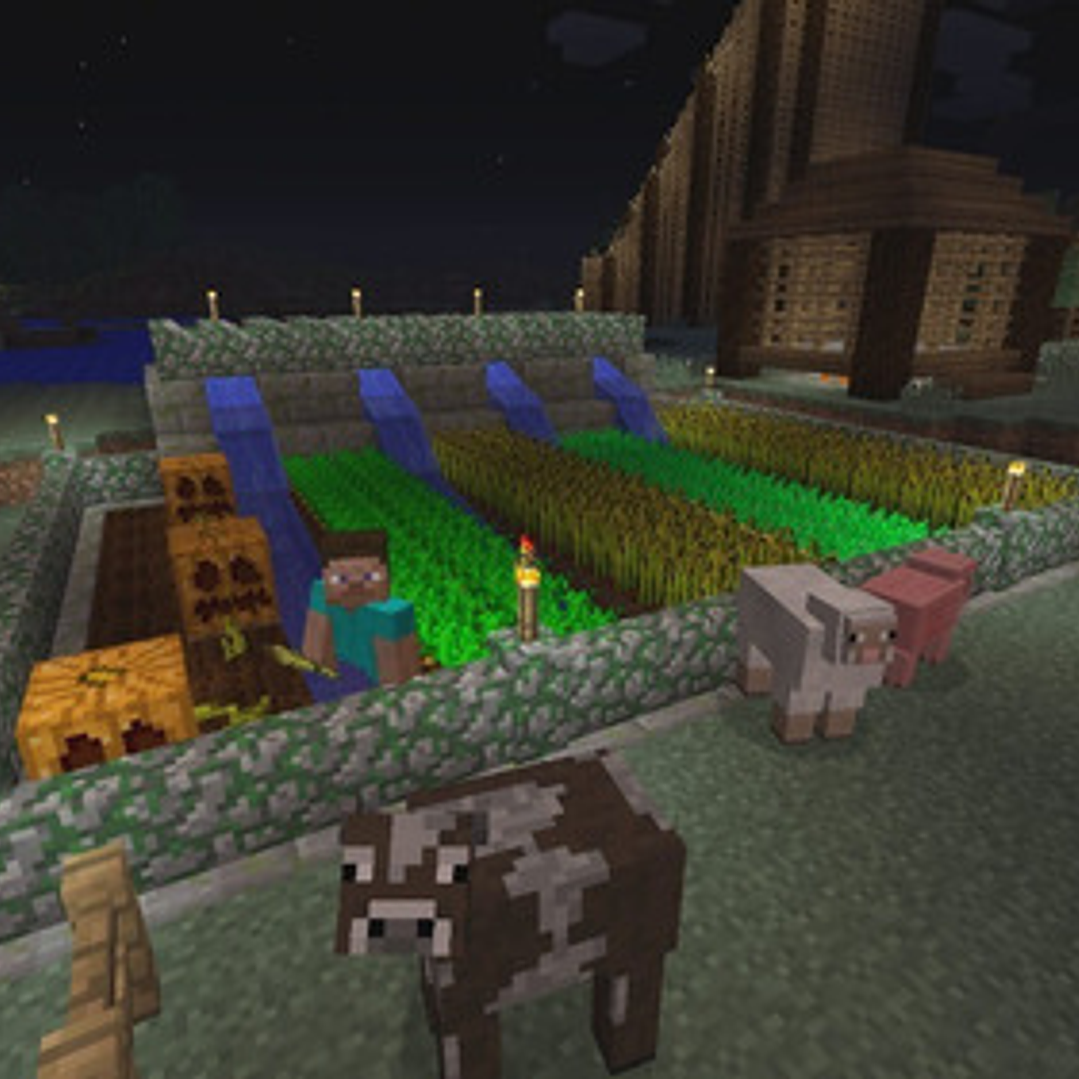 Minecraft  Standard Edition Sony Ps3 Digital 7