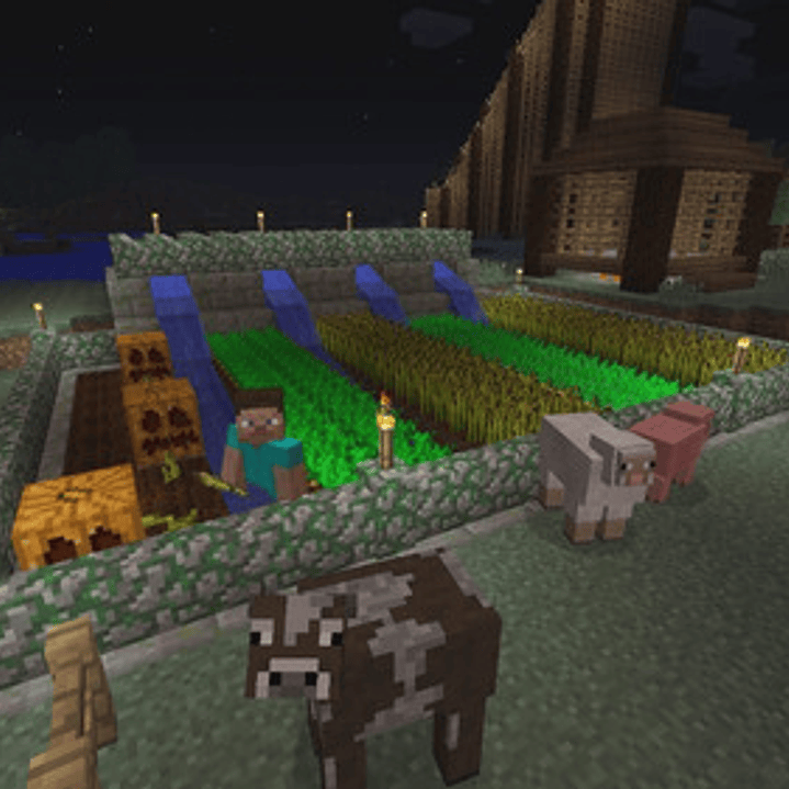 Minecraft  Standard Edition Sony Ps3 Digital 7