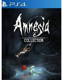 AMNESIA COLLECTION PS4