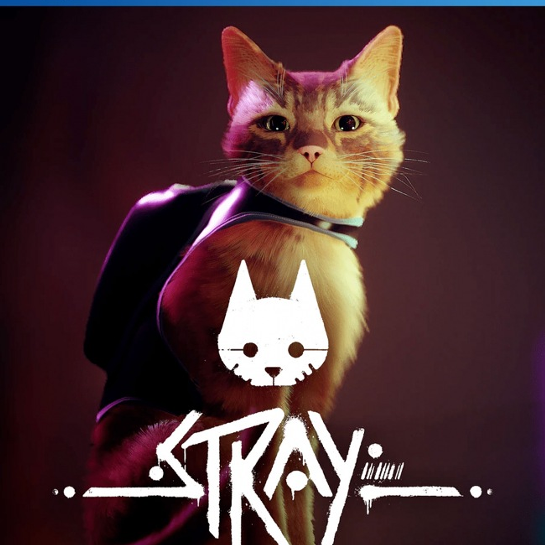 Stray PS4 1