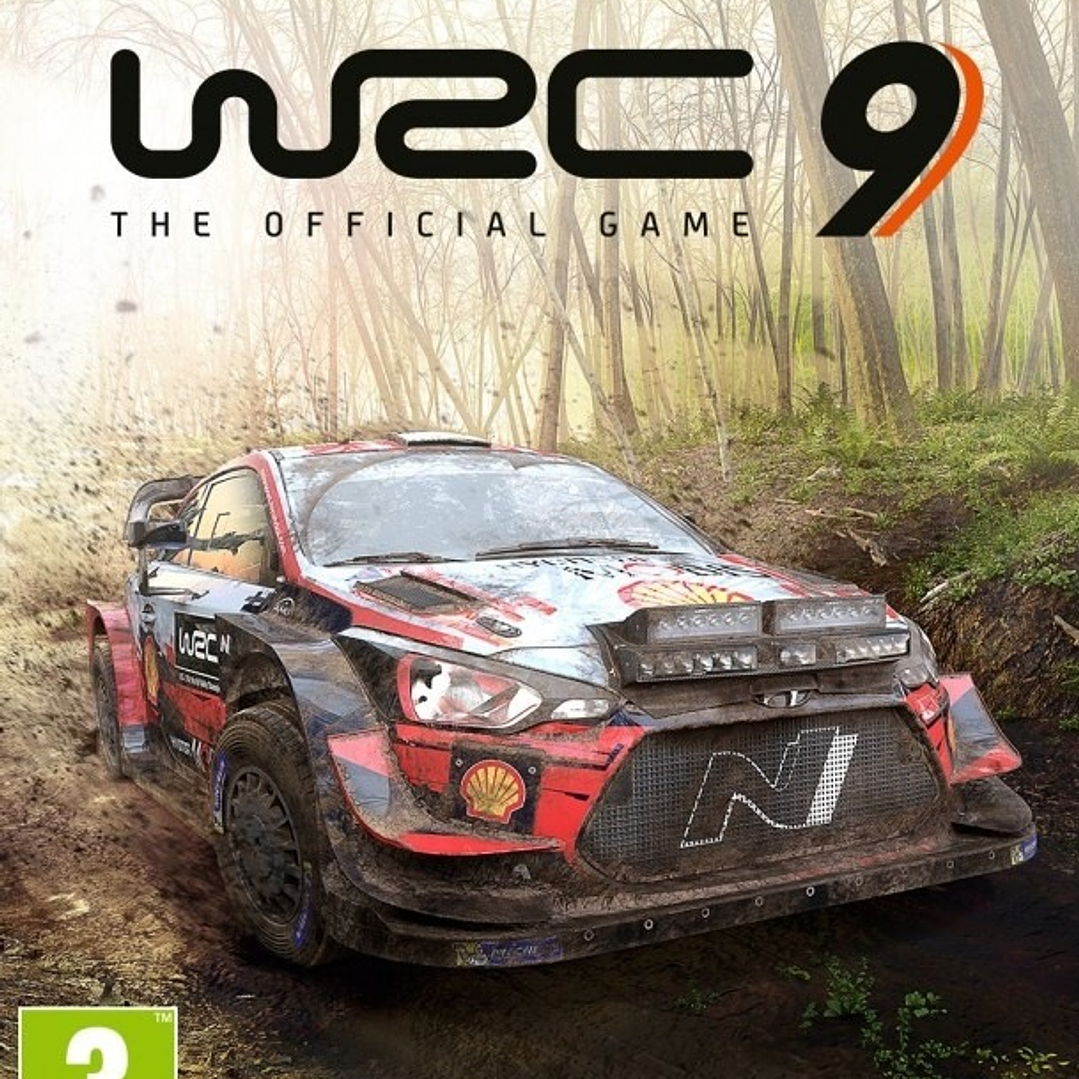 WRC 9 PS4 1