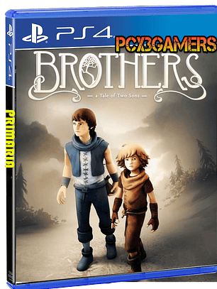 Brothers: a Tale of two Sons
