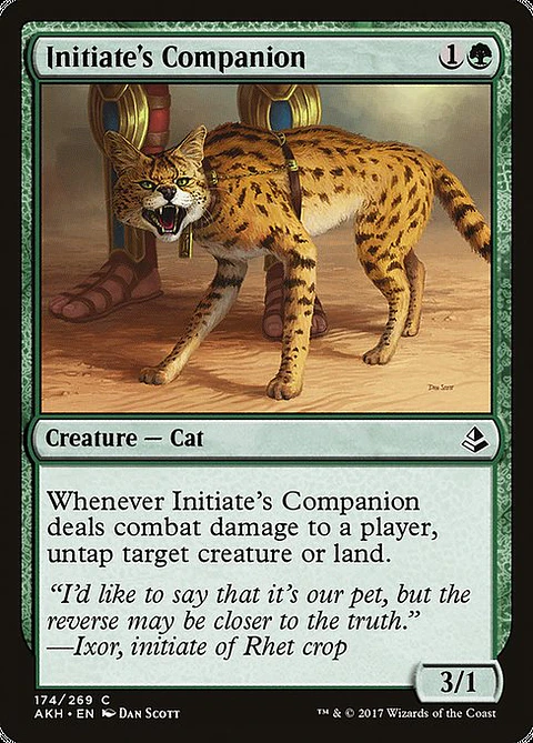 Carta Magic - FOIL Initiate's Companion - Idioma: Espa–ol - Edicion: Amonkhet