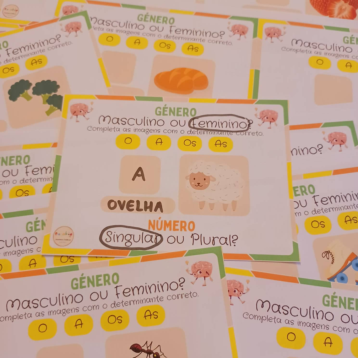 Atividade 215 - Número e género - Físico e PDF 1