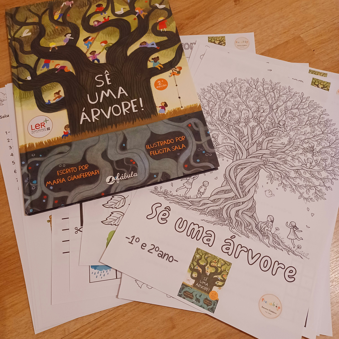 Atividade 602 - Exploração do livro 