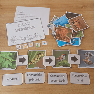 Atividade 623- Cadeias alimentares - PDF