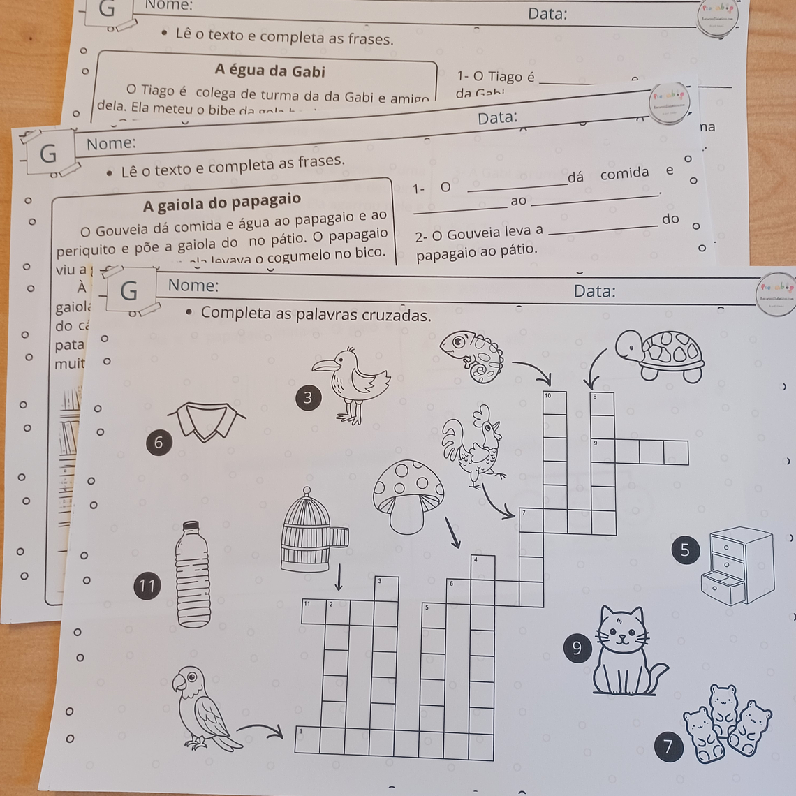 Atividade 739- Consoante G - PDF 2