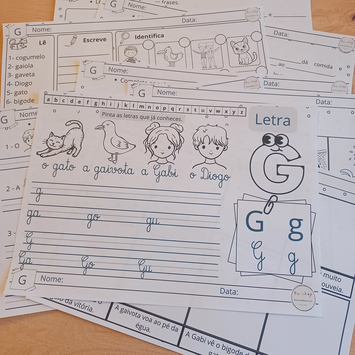 Atividade 739- Consoante G - PDF 1