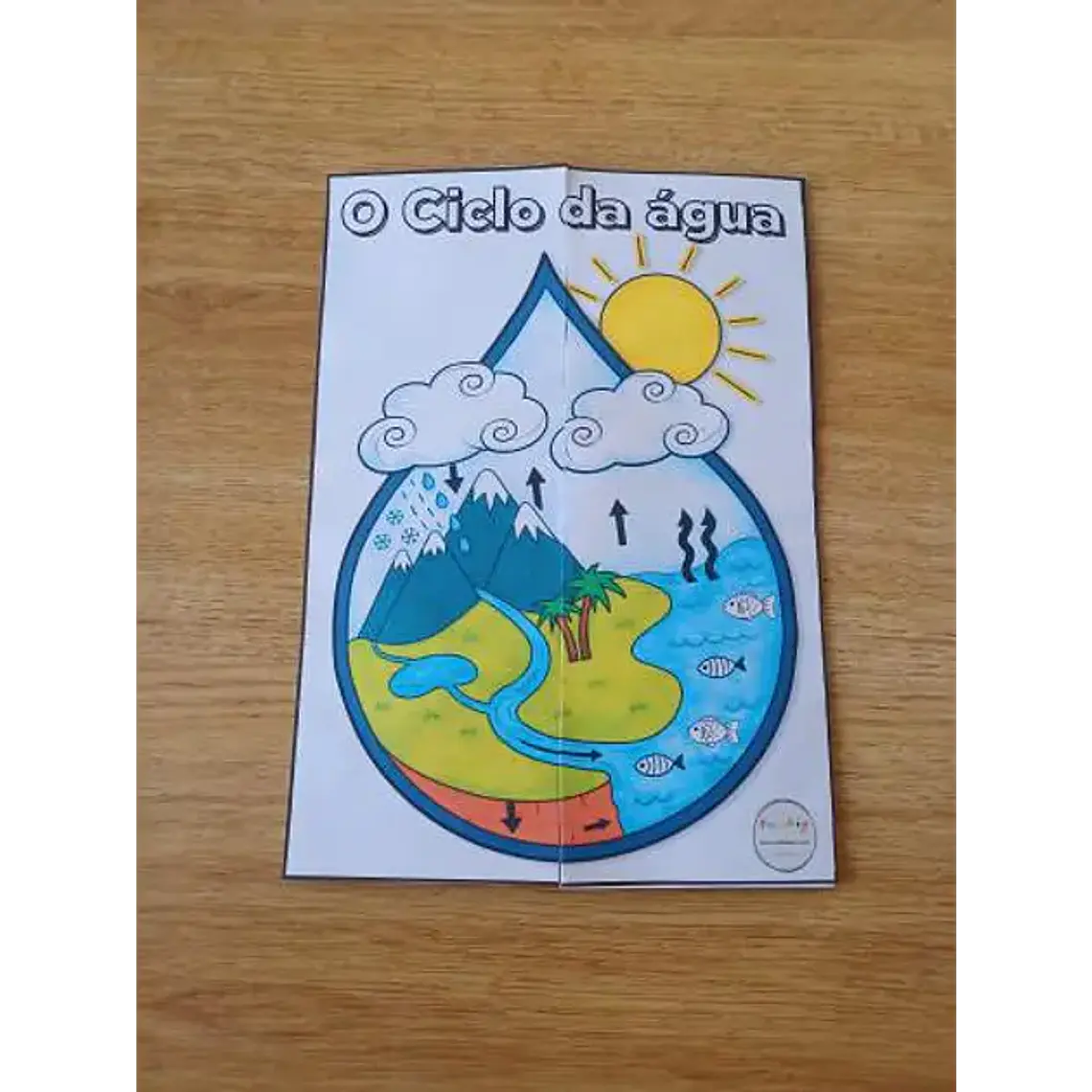 Pack Flipbooks Estudo do Meio Completo – PDF 5