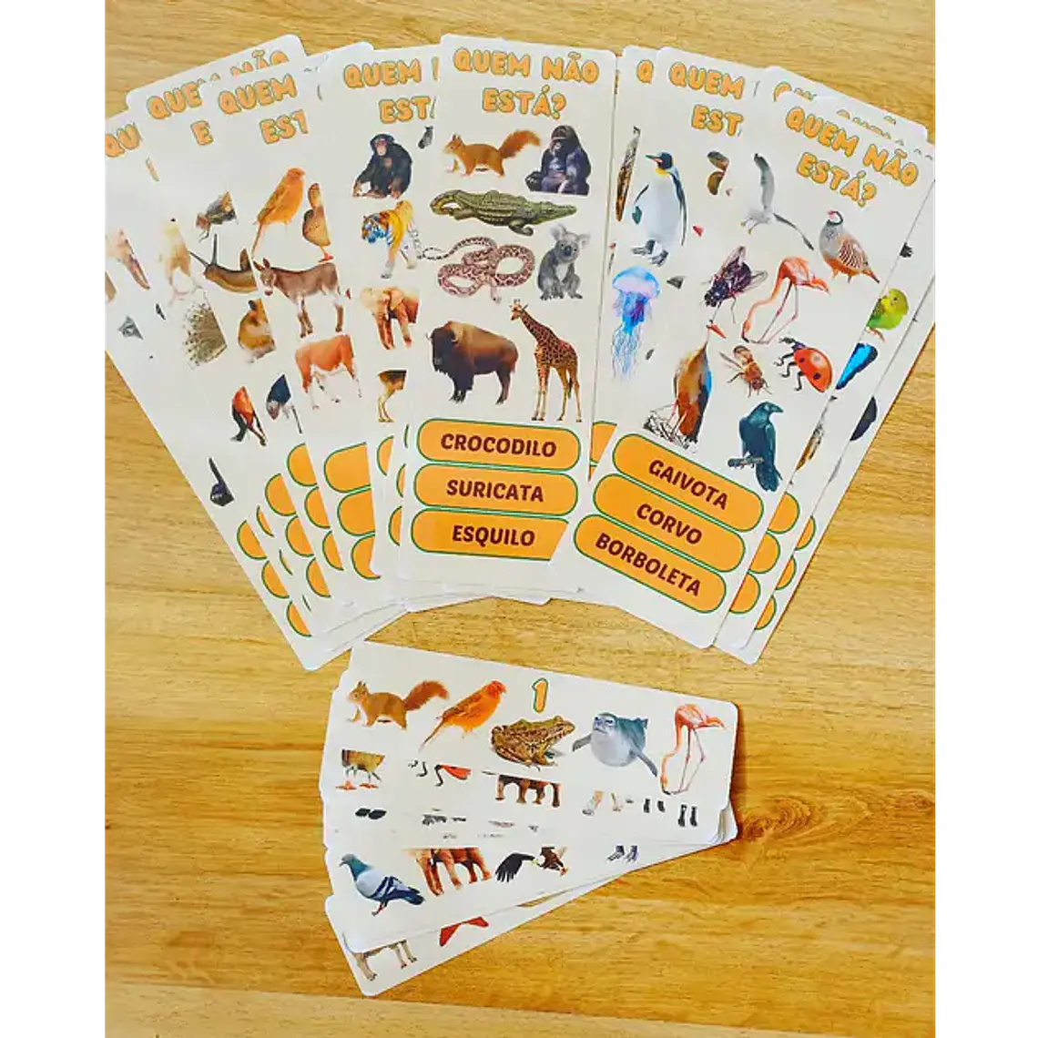 Pack Memória Visual – PDF 1