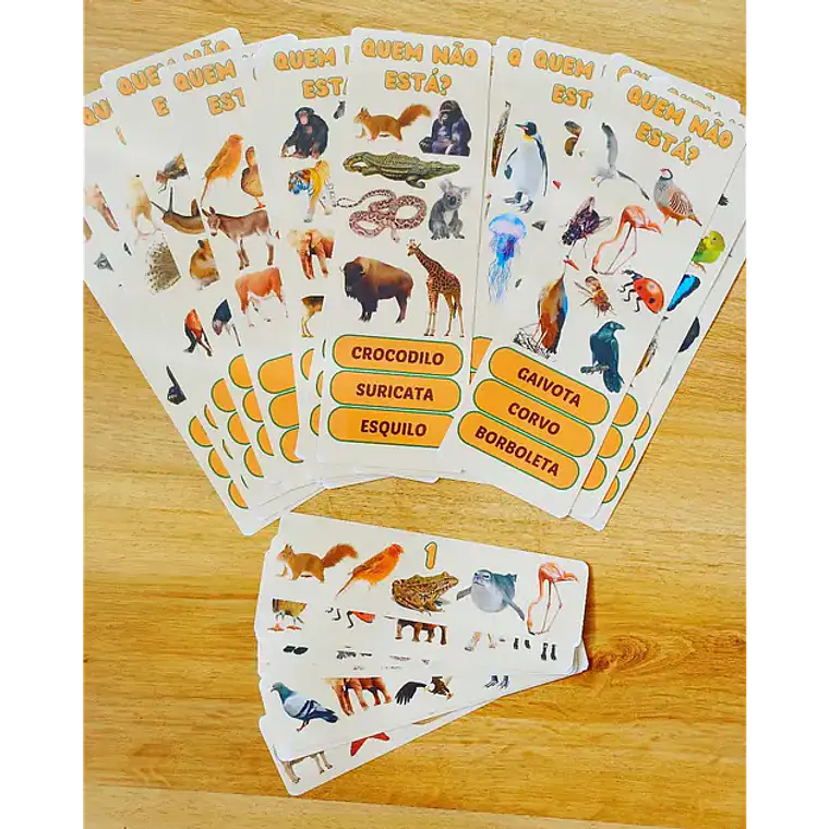 Pack Memória Visual – PDF 1