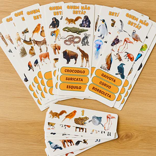 Pack Memória Visual – PDF