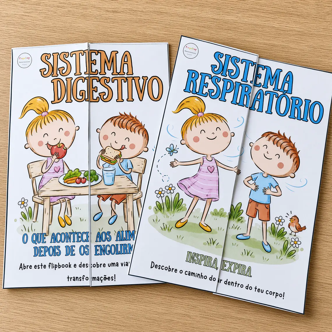 Pack Sistemas do Corpo Humano – PDF 1