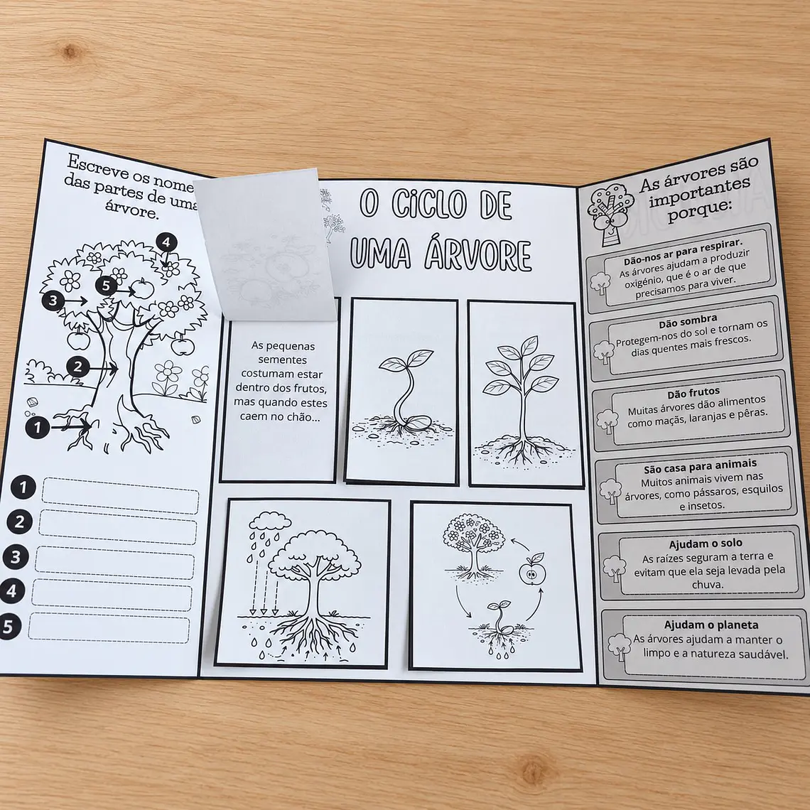 Atividade 765- Flipbook do Dia da Árvore- PDF 2