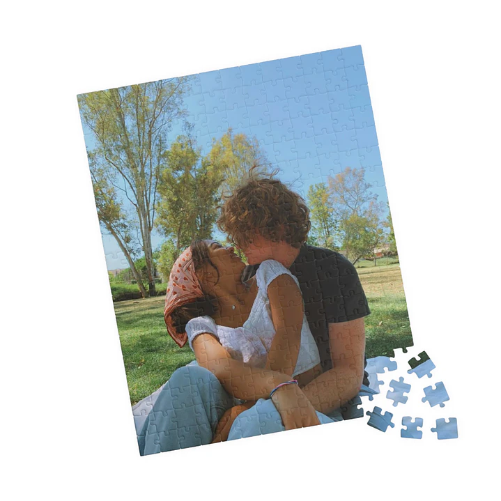 Puzzle 300 Peças 3