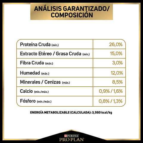  Adulto Raza Mediana 