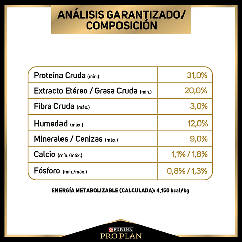  Exigente Adulto Raza Pequeña 