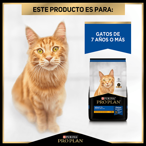 Gato Adulto Senior 3 Kg