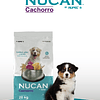  Nucan Cachorro