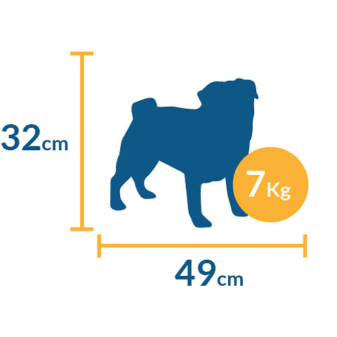 Trasportadora para Perro SPC 02