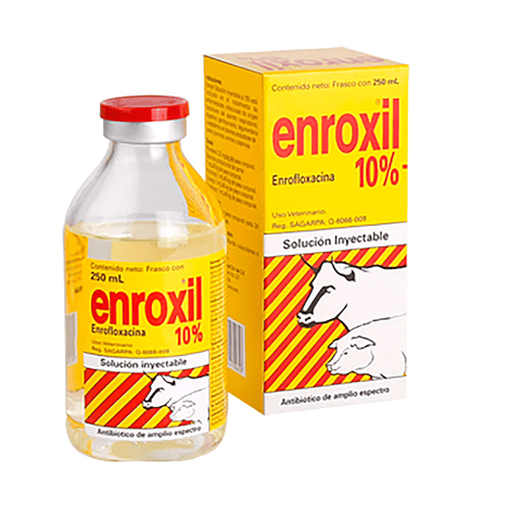 Enroxil 10% 250 ml