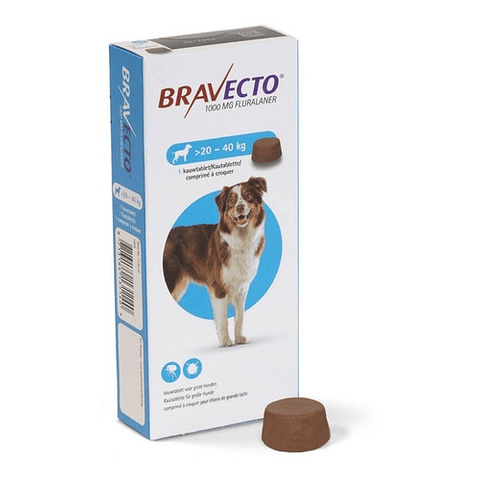 Bravecto Large 1000 Mg (20-40 Kg) 1 Comp